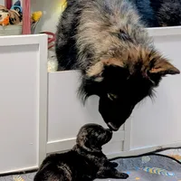 processed/1927accd-5952-44e4-a01d-606434a87016/facility/3bd70a6a-76b2-4e9b-8253-2fc155708aa9