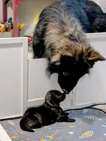 processed/1927accd-5952-44e4-a01d-606434a87016/facility/3bd70a6a-76b2-4e9b-8253-2fc155708aa9