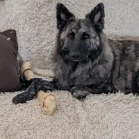 processed/1927accd-5952-44e4-a01d-606434a87016/facility/4985b163-89b5-45ab-88d9-b02e4e65310a