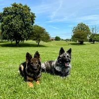 processed/1927accd-5952-44e4-a01d-606434a87016/facility/58c881b2-55fd-4053-9677-e0ee7199c0b2