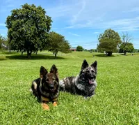 processed/1927accd-5952-44e4-a01d-606434a87016/facility/58c881b2-55fd-4053-9677-e0ee7199c0b2