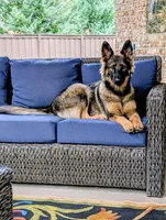 processed/1927accd-5952-44e4-a01d-606434a87016/facility/a7e6d651-291d-4de5-9a01-7a6f3652a393