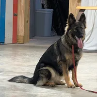 processed/1927accd-5952-44e4-a01d-606434a87016/facility/ea2645a6-ae9c-4b30-81a7-67cd4ca52ba3