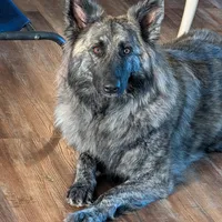 processed/1927accd-5952-44e4-a01d-606434a87016/facility/f90426f3-ac90-4030-9314-28eee144f7ae