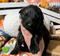 processed/1927accd-5952-44e4-a01d-606434a87016/listing/59eac1df-a85c-4fed-9b67-f70430220109/035bf83b-a750-40d6-b2ac-5452c9819e36