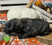 processed/1927accd-5952-44e4-a01d-606434a87016/listing/59eac1df-a85c-4fed-9b67-f70430220109/2adfb32f-fd0b-40cd-b484-bcc69e9b3de7