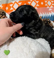 processed/1927accd-5952-44e4-a01d-606434a87016/listing/59eac1df-a85c-4fed-9b67-f70430220109/94312942-52b4-4825-91e5-b777c4367bf2