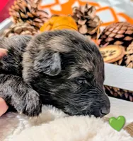 processed/1927accd-5952-44e4-a01d-606434a87016/listing/59eac1df-a85c-4fed-9b67-f70430220109/984bf6f4-59c9-4ea1-8e4f-0063eb517957