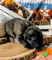 processed/1927accd-5952-44e4-a01d-606434a87016/listing/59eac1df-a85c-4fed-9b67-f70430220109/d36219d6-a43f-4d5d-a475-d11a255e037a