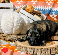 processed/1927accd-5952-44e4-a01d-606434a87016/listing/5ac91e3a-5bff-40b0-b14f-48a1ec9f3248/1a6dc7fe-c16d-4ef1-a302-1e34ff387010