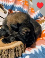 processed/1927accd-5952-44e4-a01d-606434a87016/listing/5ac91e3a-5bff-40b0-b14f-48a1ec9f3248/43091d99-a836-427c-a4d7-f5be24d78e74