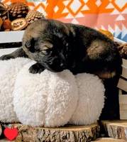 processed/1927accd-5952-44e4-a01d-606434a87016/listing/5ac91e3a-5bff-40b0-b14f-48a1ec9f3248/5d8d5355-1429-438b-97e7-4085147aa2d3