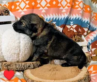 processed/1927accd-5952-44e4-a01d-606434a87016/listing/5ac91e3a-5bff-40b0-b14f-48a1ec9f3248/616d61df-e648-413e-99b9-8f69c4bf8b6c