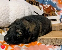 processed/1927accd-5952-44e4-a01d-606434a87016/listing/5ac91e3a-5bff-40b0-b14f-48a1ec9f3248/6576ed51-826b-40be-9b71-3297dc97aa95