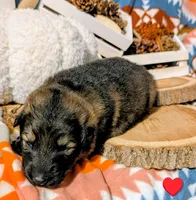 processed/1927accd-5952-44e4-a01d-606434a87016/listing/5ac91e3a-5bff-40b0-b14f-48a1ec9f3248/b74f109d-e7da-4e73-bcd6-0cebc8426a68