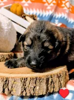 processed/1927accd-5952-44e4-a01d-606434a87016/listing/5ac91e3a-5bff-40b0-b14f-48a1ec9f3248/c89e9624-fa0a-4201-841a-c33e299ced8a