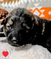 processed/1927accd-5952-44e4-a01d-606434a87016/listing/5ac91e3a-5bff-40b0-b14f-48a1ec9f3248/e7c5e8e6-7c24-4d1f-8f92-ca595ba64031