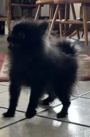 processed/1936fda2-ba4f-41a8-8ad7-36f57a5d5e28/listing/1cd69115-f1d6-4224-8bdc-e21f41edb773/04062dfb-7485-4d4c-b979-22b33be33f1e