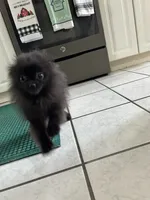 processed/1936fda2-ba4f-41a8-8ad7-36f57a5d5e28/listing/1cd69115-f1d6-4224-8bdc-e21f41edb773/0a6b6f93-c225-465d-8b4e-3945c658fd91