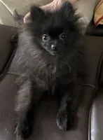 processed/1936fda2-ba4f-41a8-8ad7-36f57a5d5e28/listing/1cd69115-f1d6-4224-8bdc-e21f41edb773/5cd73fe5-4001-4031-93a6-c2e7dceb976f