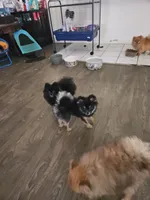 processed/1936fda2-ba4f-41a8-8ad7-36f57a5d5e28/listing/859d0a62-9247-41c1-b74f-72739bd97a82/0296d12d-5cf4-42af-8125-2178c786bea1