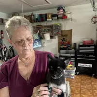 Shelby, a female Pomeranian for sale in Florida, FL – Photo 6 of 8