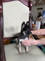 processed/1936fda2-ba4f-41a8-8ad7-36f57a5d5e28/listing/859d0a62-9247-41c1-b74f-72739bd97a82/59a106d1-3b85-4b66-8159-94a63d604402