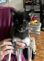 processed/1936fda2-ba4f-41a8-8ad7-36f57a5d5e28/listing/859d0a62-9247-41c1-b74f-72739bd97a82/5bf19f96-a538-4977-a519-c1a82757872f