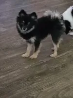 processed/1936fda2-ba4f-41a8-8ad7-36f57a5d5e28/listing/859d0a62-9247-41c1-b74f-72739bd97a82/6144d2bf-d07f-458d-bdc3-817170e026d6