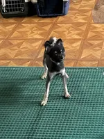 processed/1936fda2-ba4f-41a8-8ad7-36f57a5d5e28/listing/859d0a62-9247-41c1-b74f-72739bd97a82/65ff014f-ceb2-42c3-a8a0-80f0ed10c120