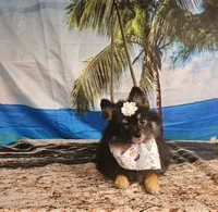 processed/1936fda2-ba4f-41a8-8ad7-36f57a5d5e28/listing/859d0a62-9247-41c1-b74f-72739bd97a82/ca465ad1-c7a8-47c1-bf2b-c2afe1c3bdcb