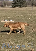 processed/1945ce36-7e15-47ce-be35-3379f48b3c7d/facility/05c3e886-edc7-4220-a9ae-0d7e8f403f34