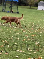 processed/1945ce36-7e15-47ce-be35-3379f48b3c7d/facility/0ac05f27-4036-402e-88b4-236f9a7061e9