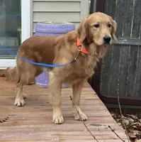 processed/1945ce36-7e15-47ce-be35-3379f48b3c7d/facility/54a04153-78c0-4c21-aec5-ab5d6729d225