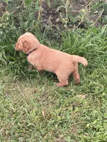 processed/1945ce36-7e15-47ce-be35-3379f48b3c7d/facility/5dae65ad-17aa-4b94-9cb0-8329b3b784dc