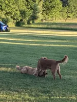 processed/1945ce36-7e15-47ce-be35-3379f48b3c7d/facility/7442d0e4-2d38-4f08-bf96-4c89580db83a