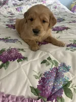 processed/1945ce36-7e15-47ce-be35-3379f48b3c7d/facility/f734c40a-44ad-46d3-ab31-fd155cdf88f6