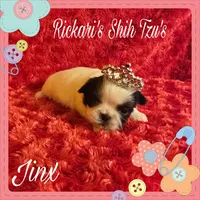 processed/19464777-5c72-42fb-8fd4-bb8de59820e1/listing/8d11bdf0-3b46-4125-9ce6-20abaabde54d/1afd4474-6505-4002-9e7c-19878ee2c04e