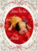 processed/19464777-5c72-42fb-8fd4-bb8de59820e1/listing/8d11bdf0-3b46-4125-9ce6-20abaabde54d/379883b5-434a-422e-a6e4-6d949ff652a8