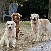 processed/194723e7-1e11-45f0-aff7-76692c95b6ac/facility/4abe8dd1-5fa4-403e-b104-65c2d6b49395