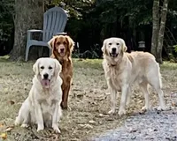 processed/194723e7-1e11-45f0-aff7-76692c95b6ac/facility/4abe8dd1-5fa4-403e-b104-65c2d6b49395