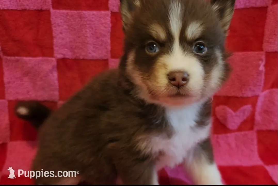 processed/19539c9e-92e4-4424-978f-d8e19f4f6d55/listing/19a8ed37-f335-4f92-8b3a-489841dd97e5/11f9376a-bfcc-47b7-85e9-75fff6c86ef9