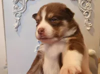 processed/19539c9e-92e4-4424-978f-d8e19f4f6d55/listing/19a8ed37-f335-4f92-8b3a-489841dd97e5/6bfd43a2-4738-47cb-945e-920ee412165b