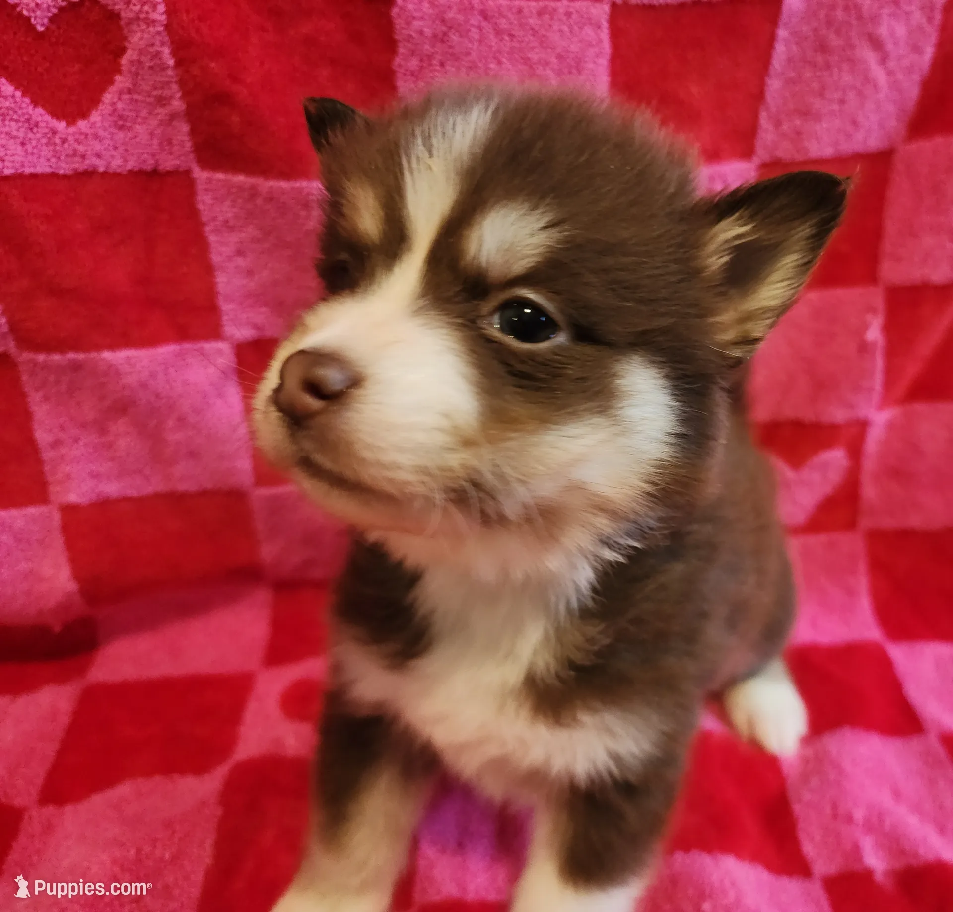 processed/19539c9e-92e4-4424-978f-d8e19f4f6d55/listing/19a8ed37-f335-4f92-8b3a-489841dd97e5/9871e24b-5a19-48aa-89b6-54ac6a9c087b