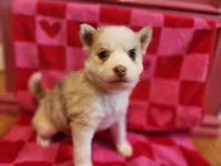 processed/19539c9e-92e4-4424-978f-d8e19f4f6d55/listing/6f5152db-43ab-40f8-b4cc-ddd6a3ff0b17/0cf1c71e-49b2-41c6-a4ca-1d961cf9caaa