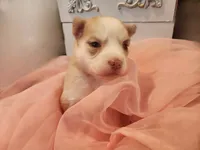 processed/19539c9e-92e4-4424-978f-d8e19f4f6d55/listing/6f5152db-43ab-40f8-b4cc-ddd6a3ff0b17/b0f11931-d513-4655-8d0d-9e64e1c64e7c