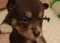 processed/19539c9e-92e4-4424-978f-d8e19f4f6d55/listing/84807f6c-743d-4481-aac3-b7736e8cf120/47410fe1-796c-4b6c-bbe0-cfdde42018b3