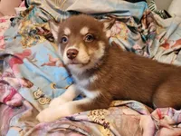 processed/19539c9e-92e4-4424-978f-d8e19f4f6d55/listing/84807f6c-743d-4481-aac3-b7736e8cf120/edb6a150-b7c8-4935-a38d-6ae7c3b5054b