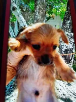 processed/195df796-e25f-4b7f-8d85-5c289b48c955/listing/6c07bd80-9d9d-4c66-a54e-4d7b12ff9212/9be4fafe-5e77-47db-b916-836fcc251bac