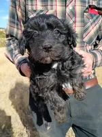 processed/195df796-e25f-4b7f-8d85-5c289b48c955/listing/6d0c75b9-9977-4051-9269-7e80618fa2cd/277f5494-c3de-4b67-b62c-c804701bc0fc